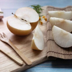 20th Century (Nijisseiki) Asian Pear -Evergreen Trees Sales Store 20thCentury Pear 1 FGT