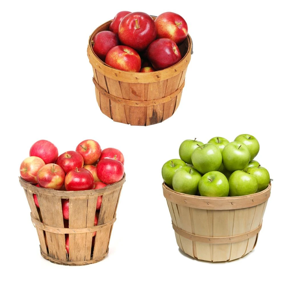 3-in-1 Apple Tree 2 3-in-1 Apple Tree - Image 2