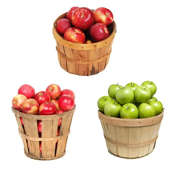 3-in-1 Apple Tree 1 3-in-1 Apple Tree