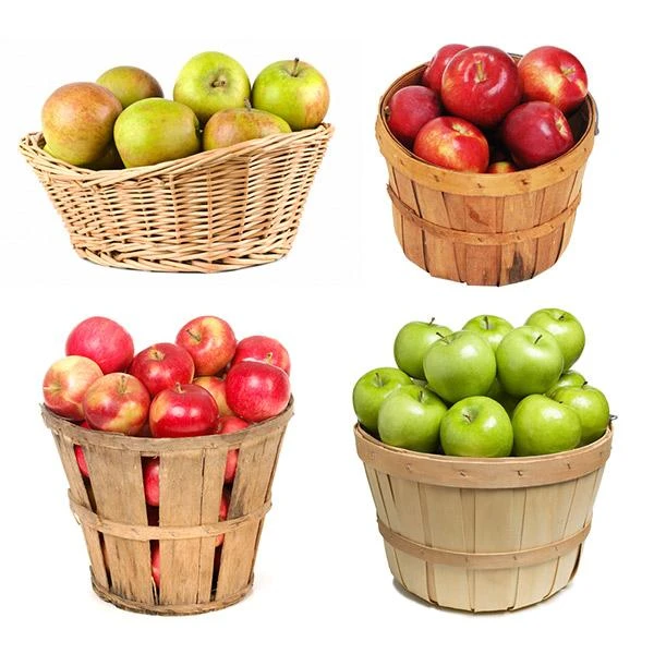 4-in-1 Apple Tree 1 4-in-1 Apple Tree