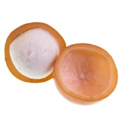 Achacha Fruit Tree -Evergreen Trees Sales Store Achacha 2