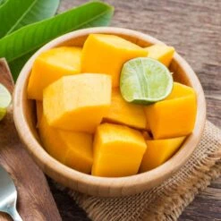 Alphonso Mango -Evergreen Trees Sales Store Alphonso Mango 2 FGT