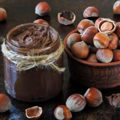 American Hazelnut Filbert -Evergreen Trees Sales Store American Hazelnut 1