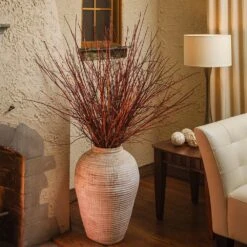 Arctic Fire® Red Twig Dogwood -Evergreen Trees Sales Store Arctic Fire Twig Dogwood 6 FGT