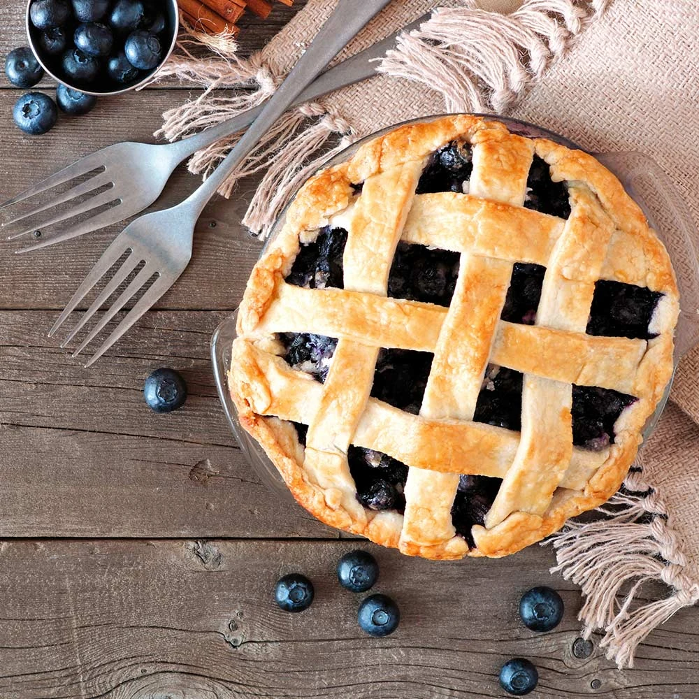 Aurora Blueberry Bush 6 Aurora Blueberry Bush - Image 6