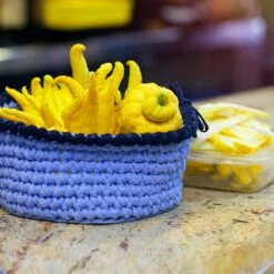 Buddha's Hand Citron Tree -Evergreen Trees Sales Store BUddhas Hand Citrus 6 FGT 8e440ac0 ef1a 452e 8576 5c1e7bf4eb5a