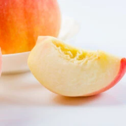 Belle Of Georgia Peach Tree (USDA Organic) -Evergreen Trees Sales Store Belle of Georgia 3