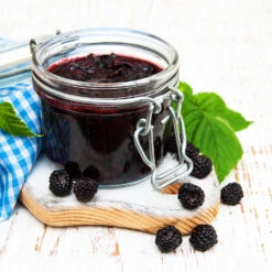 Big Daddy Blackberry Bush -Evergreen Trees Sales Store Big Daddy Blackberry 3