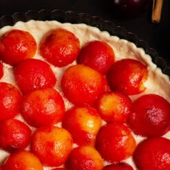 Bubblegum 'Toka' Plum Tree -Evergreen Trees Sales Store Bubblegum Toka Plum 3