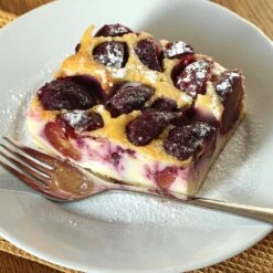 Burgundy Plum Tree -Evergreen Trees Sales Store Burgundy Plum 3