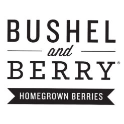 Bushel And Berry® Peach Sorbet™ Blueberry Bush -Evergreen Trees Sales Store Bushel Berry Logo 1000x1000 5523bd77 3d3b 4829 bad1 1529836d5288
