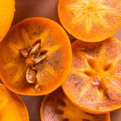 Chocolate Persimmon Tree -Evergreen Trees Sales Store CHocolate Persimmon 2