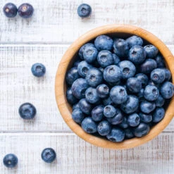 Climax Blueberry 10 Climax Blueberry -Evergreen Trees Sales Store Climax Blueberry 4