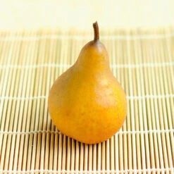 Comice Pear Tree 8 Comice Pear Tree -Evergreen Trees Sales Store Comice Pear 2 FGT bed8e3b3 6b31 43c6 9eb7 82aa992926bb