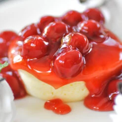 Coral Champagne Cherry Tree -Evergreen Trees Sales Store Coral Champagne Cherry Tree 2