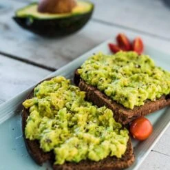 Condo™ Avocado Tree -Evergreen Trees Sales Store Day Condo Avocado 2