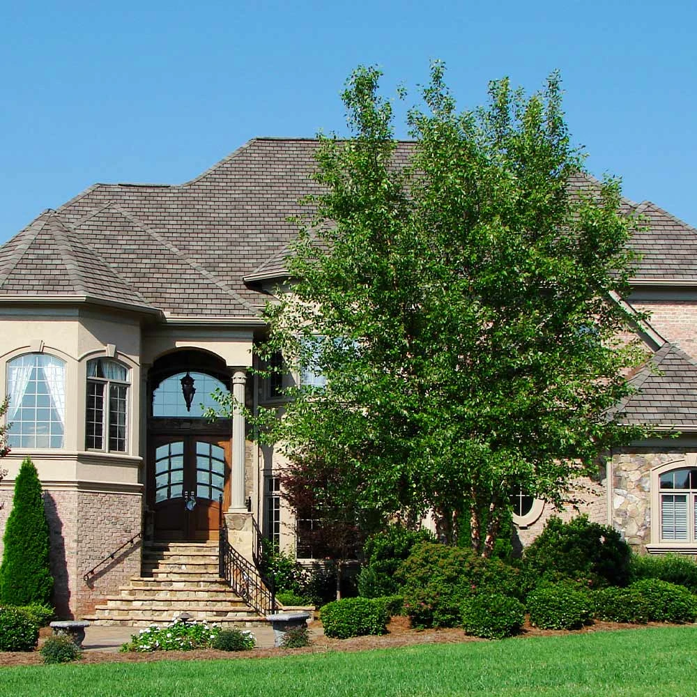 Dura Heat® River Birch 3 Dura Heat® River Birch - Image 3