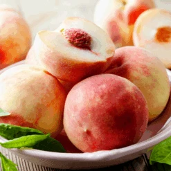 Early White Giant Peach Tree -Evergreen Trees Sales Store Early White Giant Peach Tree 450 D1