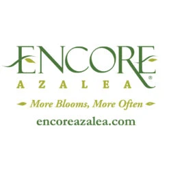 Autumn Embers® Encore® Azalea -Evergreen Trees Sales Store Encore Logo 1000x1000 1adc0cf2 16e4 49a6 9093 928a385a7d6f