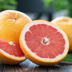 Flame Grapefruit Tree 5 Flame Grapefruit Tree -Evergreen Trees Sales Store Flame Grapefruit 1