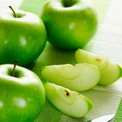 Granny Smith Apple Tree -Evergreen Trees Sales Store Granny Smith Apple 2 91878d17 79d1 47a7 a5a0 55ace8d71d70