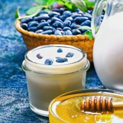 Indigo Gem Haskap (Honeyberry) -Evergreen Trees Sales Store Indigo GEm Haskap 1