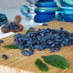 Indigo Treat Haskap (Honeyberry) -Evergreen Trees Sales Store Indigo Treat Hascap 2 BB