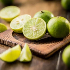 Key Lime Tree 11 Key Lime Tree -Evergreen Trees Sales Store Key Lime Tree 5 FGT