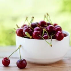 Lapins Cherry Tree -Evergreen Trees Sales Store Lapins Cherry Tree 2 FGT 325a18e6 7143 4729 a41b b0d9614909b8