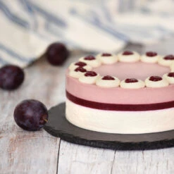 Methley Plum Tree -Evergreen Trees Sales Store Methley Plum 5 d1cf4da0 c7c8 4a54 8dce 9916c07f2fa6