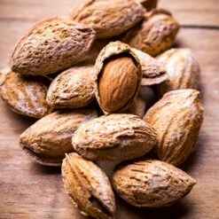 Nonpareil Almond Tree -Evergreen Trees Sales Store Nonpareil Almonds 3