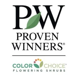 Wine & Roses® Weigela Shrub -Evergreen Trees Sales Store PW Logo CC 1000x1000 037894e9 e570 45f9 bb8a 2ce48bb09ea2