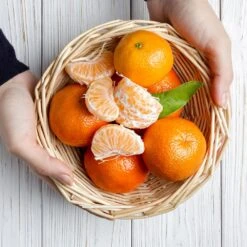 Page Mandarin Tree -Evergreen Trees Sales Store Page Mandarin Tree 2 FGT