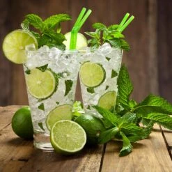 Persian 'Bearss' Lime Tree - USDA Organic -Evergreen Trees Sales Store Persian Lime Tree 4 FGT 3e2376b1 dd45 4777 a1e5 8c0e252ea773