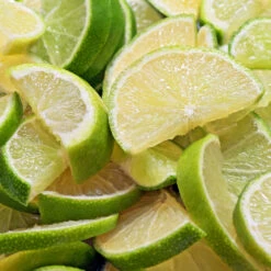 Persian 'Bearss' Lime Bush -Evergreen Trees Sales Store Pursian Lime Bush 1 FGT 8e948345 4f0b 4e96 a96f a17b7b31b7ab