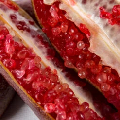 Red Finger Lime Tree -Evergreen Trees Sales Store Red FInger Lime 1 1453b836 c1a1 4844 92f1 11e49d09cc4d