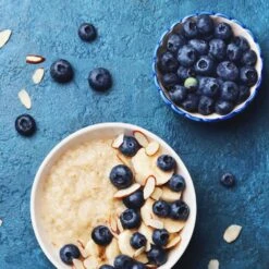 Reveille Blueberry Bush -Evergreen Trees Sales Store Reville Blueberry 2