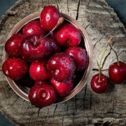 Santina™ Cherry Tree -Evergreen Trees Sales Store Santina Cherry 1