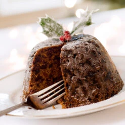 Satsuma Plum Tree -Evergreen Trees Sales Store Satsuma Plum 4