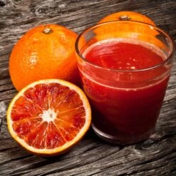 Smith Red Orange 11 Smith Red Orange -Evergreen Trees Sales Store Smith Red Orange 3 FGT