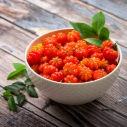 Star Cherry Tree (Pitanga) -Evergreen Trees Sales Store Star Cherry 3 FGT