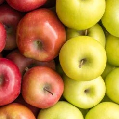 2-in-1 Apple Surprise Tree -Evergreen Trees Sales Store Surprise Apple 1 5277609f 2a1f 491f 804c c001e47d74ac