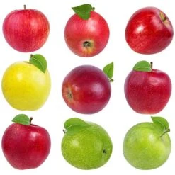 Evergreen Trees Sales Store 12 2-in-1 Apple Surprise Tree