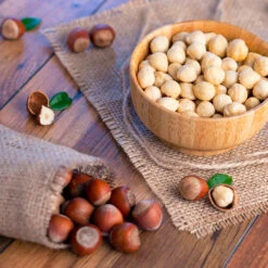 Theta Filbert Hazelnut -Evergreen Trees Sales Store THeta FIlbert Hazelnut 4