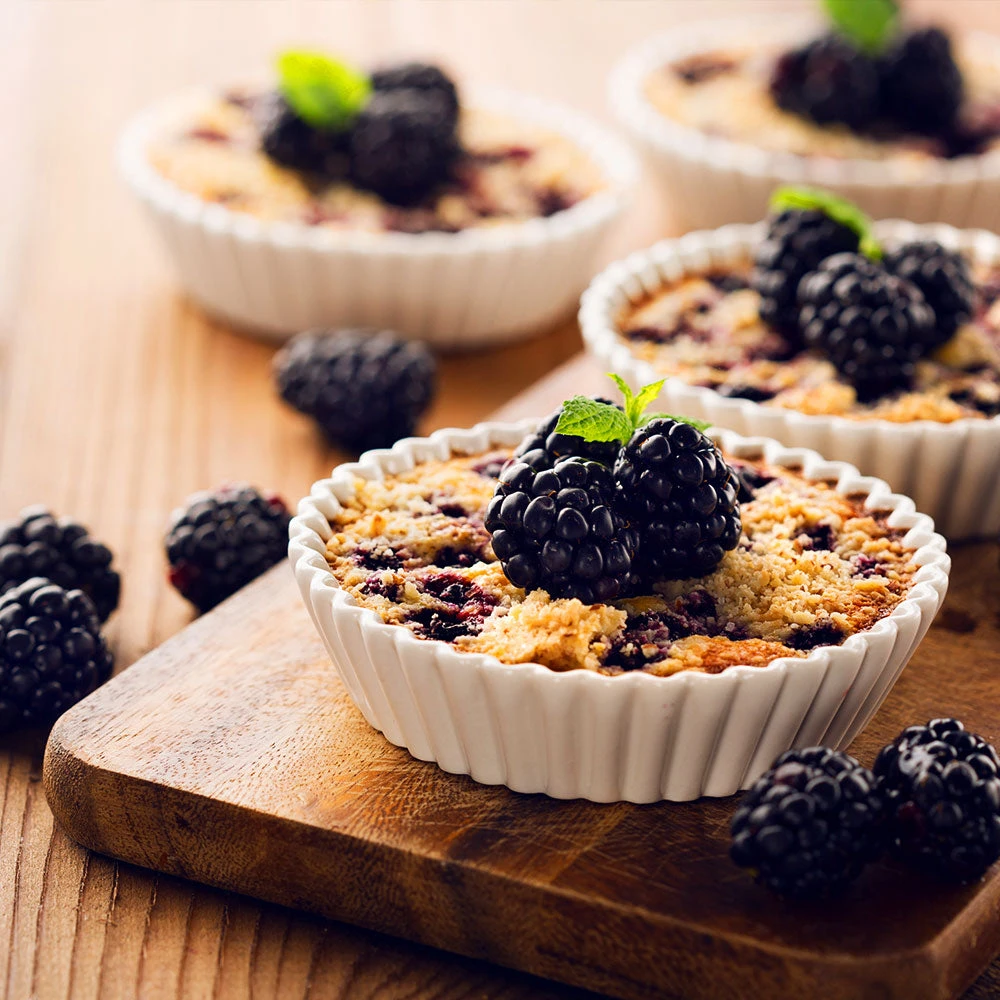 Thornless Blackberry 4 Thornless Blackberry - Image 4