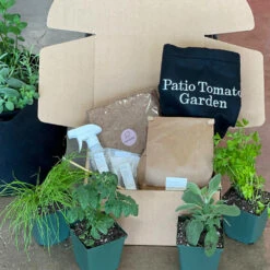 Patio Tomato Garden -Evergreen Trees Sales Store Tomato Garden kit 2