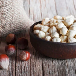 York Filbert Hazelnut 10 York Filbert Hazelnut -Evergreen Trees Sales Store York Hazelnut 5